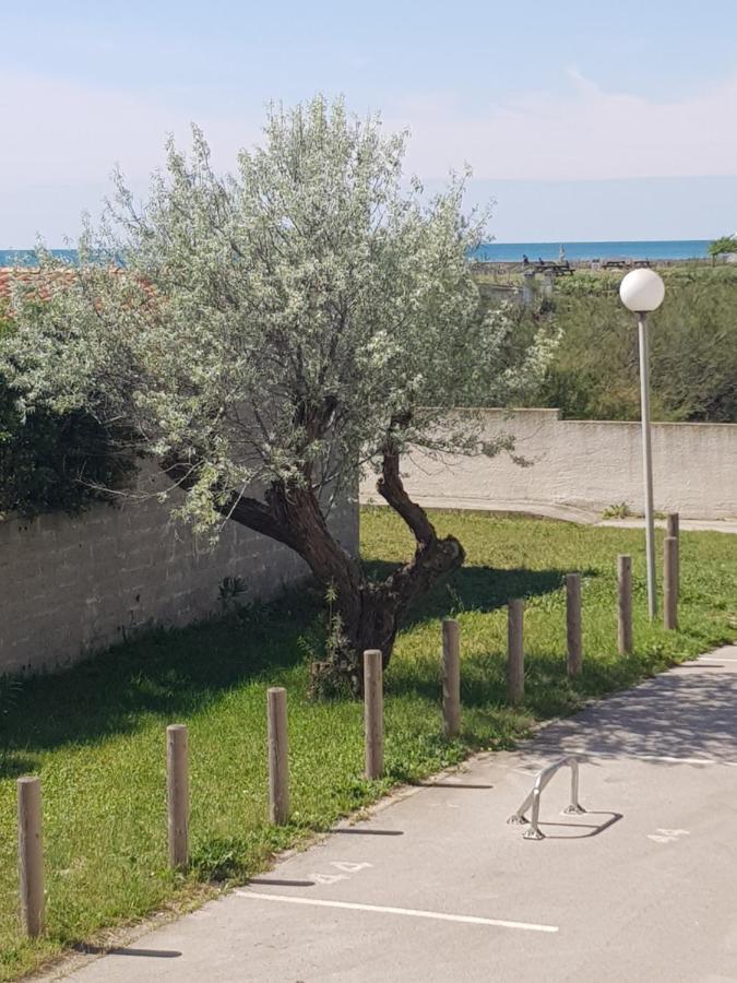 Apartamento La Rose des Sables Frontignan Exterior foto