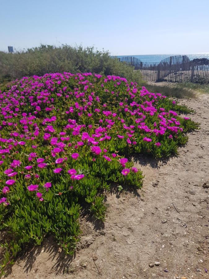 Apartamento La Rose des Sables Frontignan Exterior foto