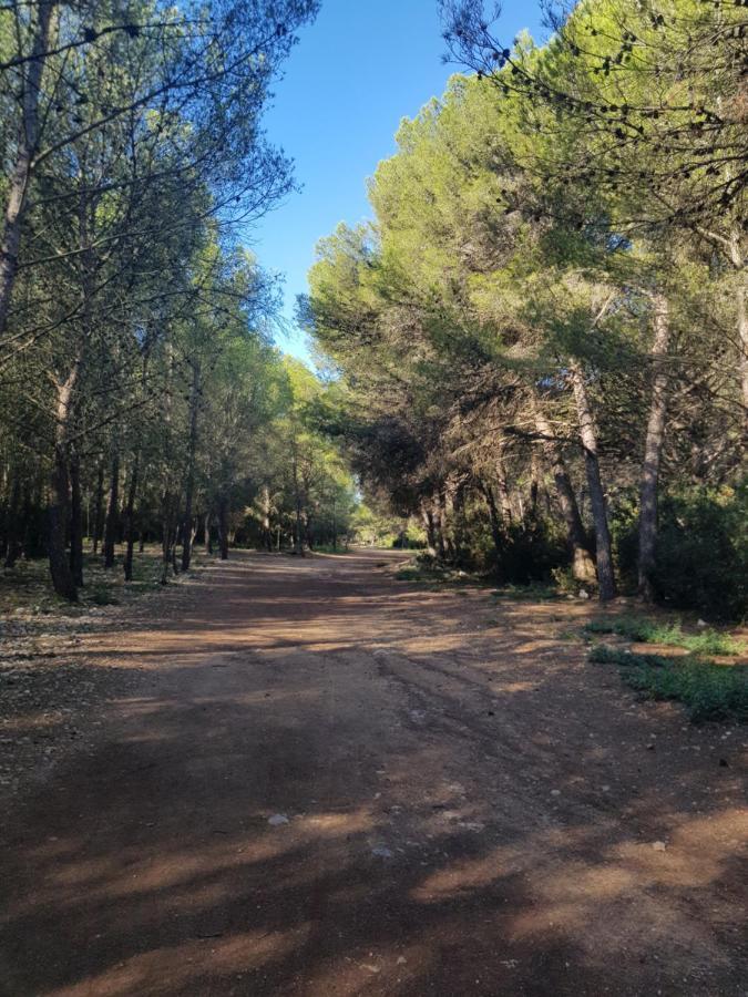 Apartamento La Rose des Sables Frontignan Exterior foto